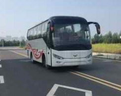 cn/img/type/23/23010_1.jpg