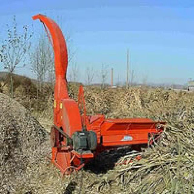 cn/img/type/ico/290490.jpg